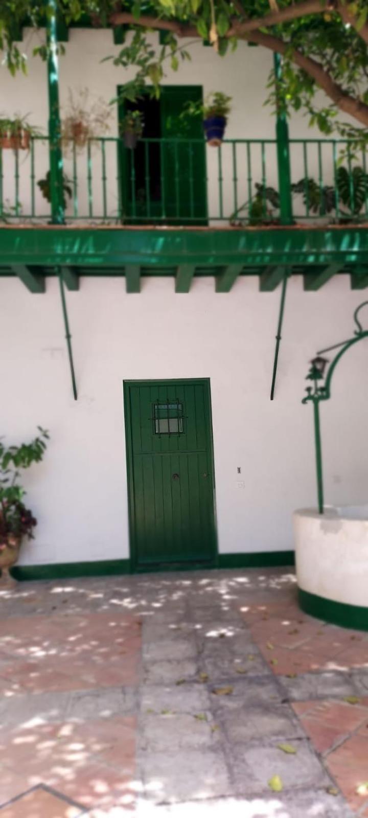 Las Setas Estudio II, Seville
